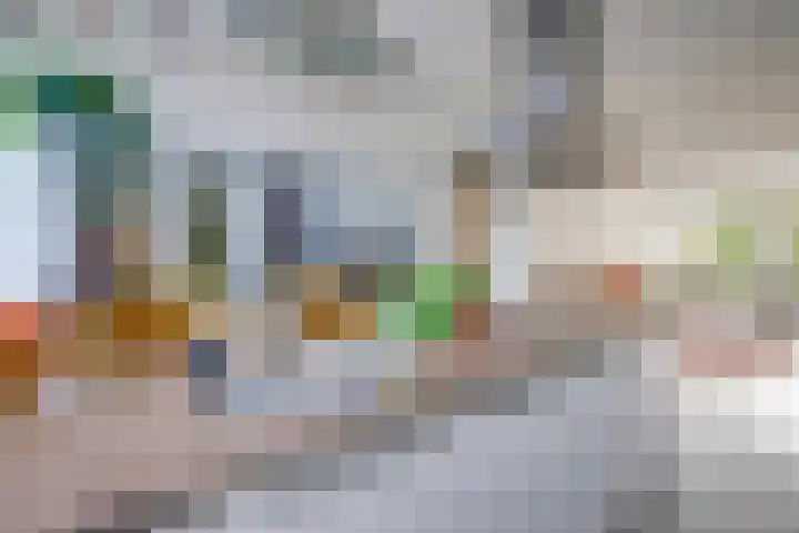 Laan van Vollenhove 2617 Zeist thumbnail 10