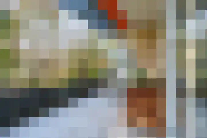 Laan van Vollenhove 2617 Zeist thumbnail 12