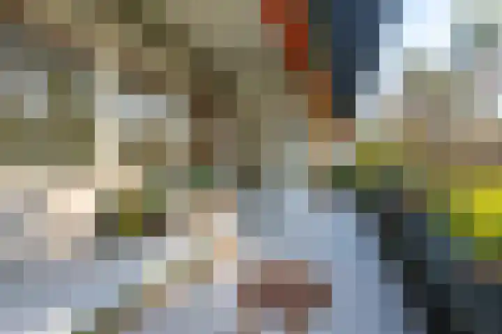 Laan van Vollenhove 2617 Zeist thumbnail 14