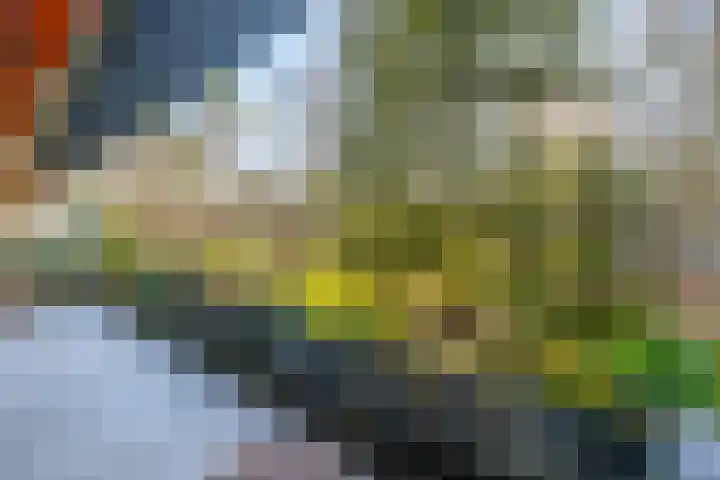 Laan van Vollenhove 2617 Zeist thumbnail 15