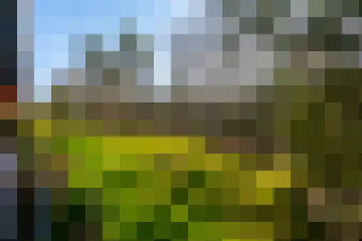 Laan van Vollenhove 2617 Zeist thumbnail 16