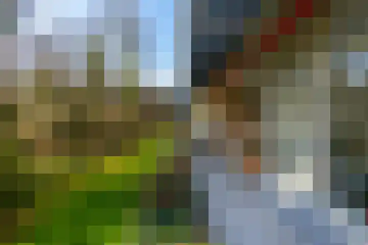 Laan van Vollenhove 2617 Zeist thumbnail 17