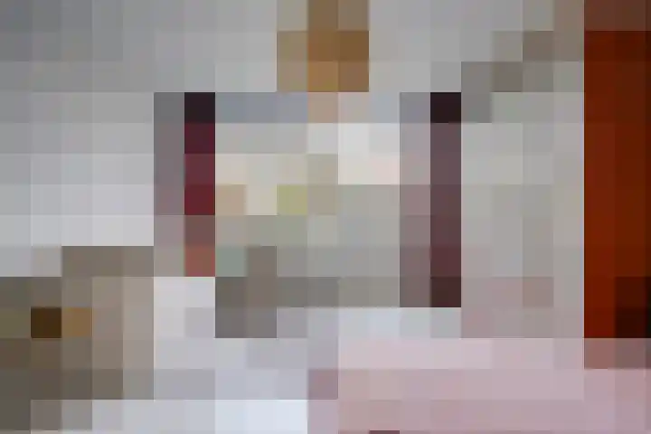 Laan van Vollenhove 2617 Zeist thumbnail 19