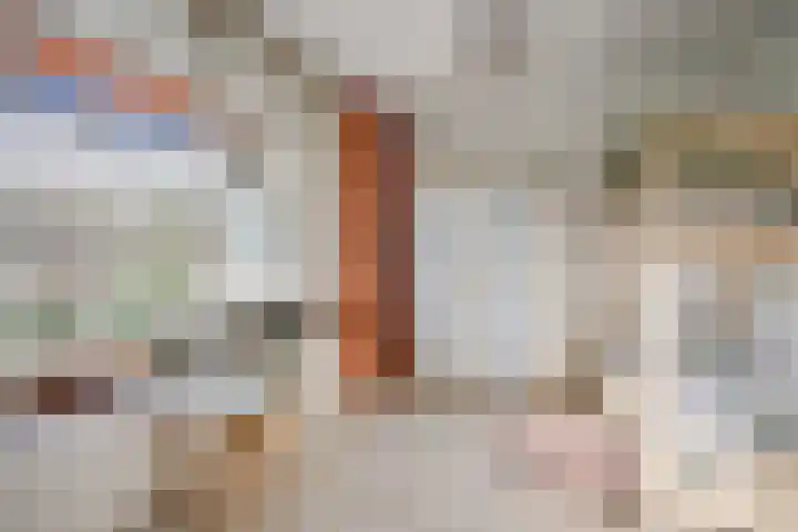 Laan van Vollenhove 2617 Zeist thumbnail 20