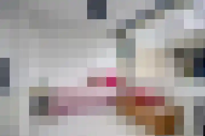 Laan van Vollenhove 2617 Zeist thumbnail 22