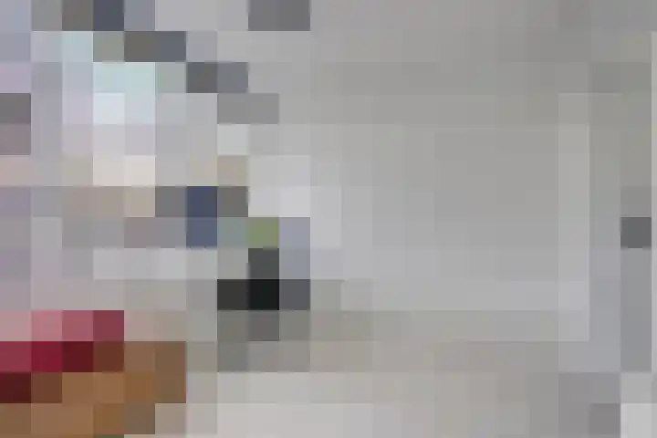 Laan van Vollenhove 2617 Zeist thumbnail 23