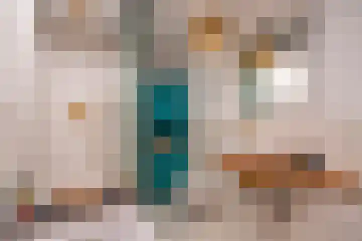 Laan van Vollenhove 2617 Zeist thumbnail 25