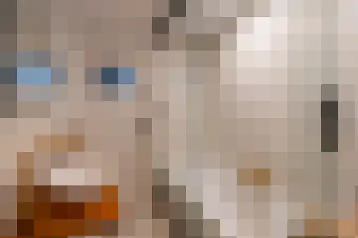 Laan van Vollenhove 2617 Zeist thumbnail 26