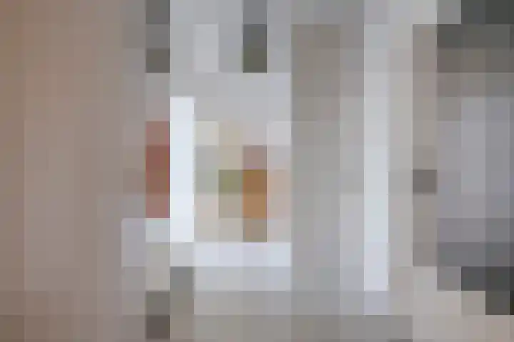 Laan van Vollenhove 2617 Zeist thumbnail 28