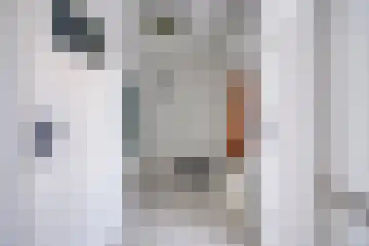 Laan van Vollenhove 2617 Zeist thumbnail 29