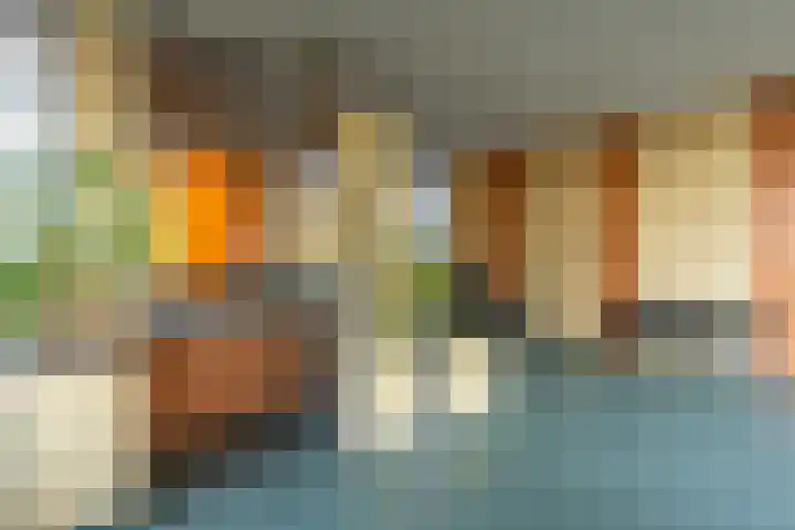 Laan van Vollenhove 2617 Zeist thumbnail 31