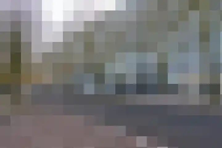 Laan van Vollenhove 2617 Zeist thumbnail 33