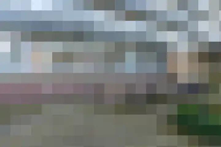 Laan van Vollenhove 2617 Zeist thumbnail 34