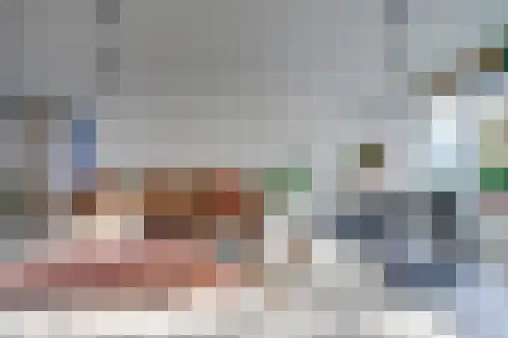 Laan van Vollenhove 2617 Zeist thumbnail 5