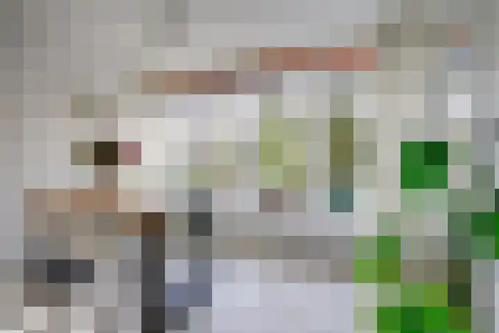 Laan van Vollenhove 2617 Zeist thumbnail 6