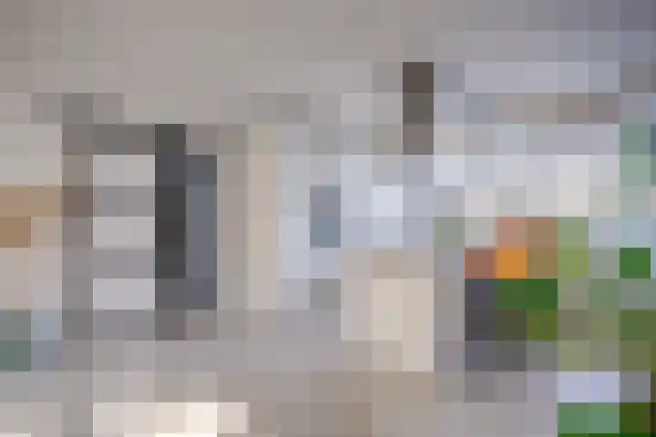 Laan van Vollenhove 2617 Zeist thumbnail 7