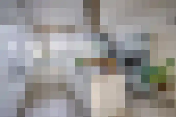 Laan van Vollenhove 2617 Zeist thumbnail 8