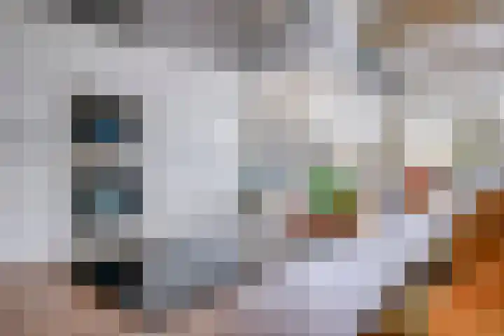 Laan van Vollenhove 2617 Zeist thumbnail 9
