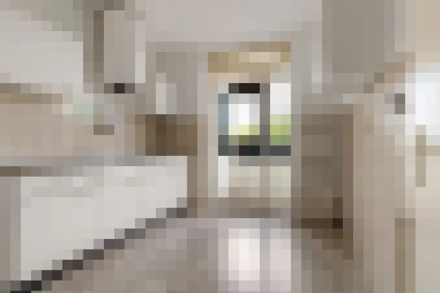 Laan van Vollenhove 274 Zeist thumbnail 34