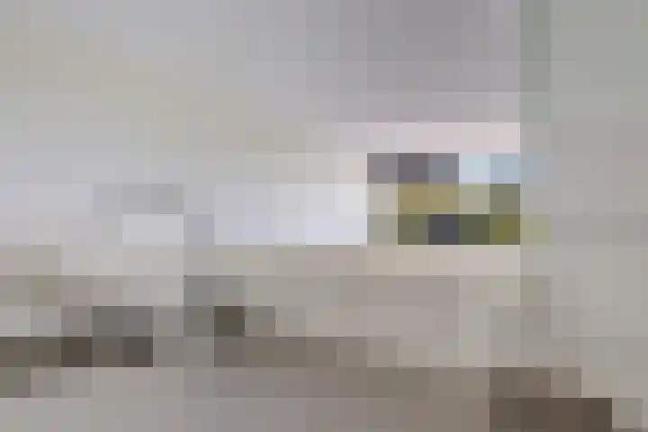 Laan van Vollenhove 282 Zeist thumbnail 16