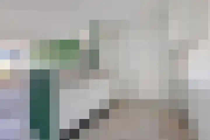 Laan van Vollenhove 282 Zeist thumbnail 17