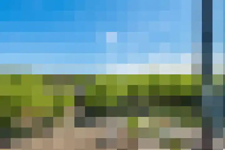 Laan van Vollenhove 282 Zeist thumbnail 20