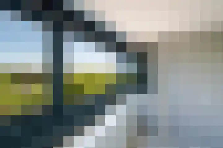 Laan van Vollenhove 282 Zeist thumbnail 22