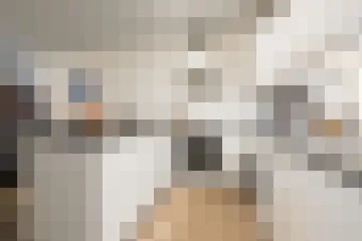Laan van Vollenhove 300 Zeist thumbnail 10