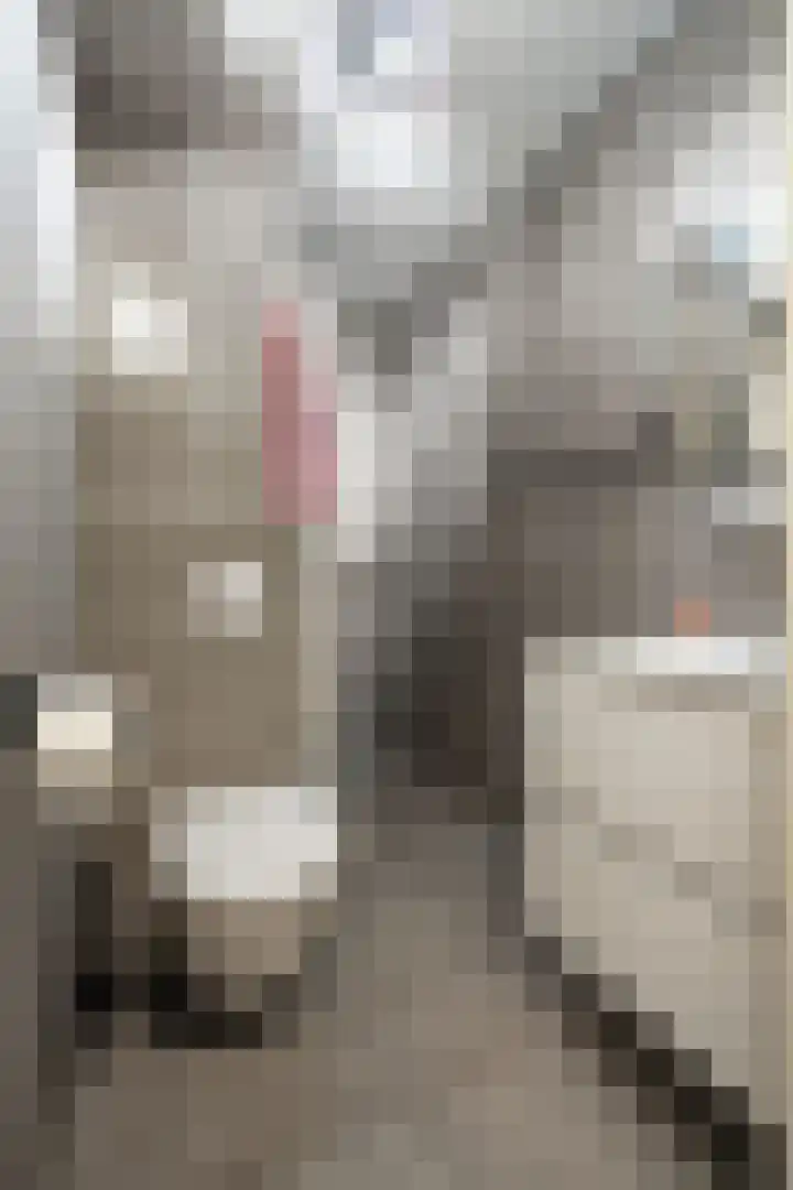 Laan van Vollenhove 300 Zeist thumbnail 12