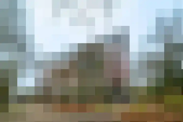 Laan van Vollenhove 300 Zeist thumbnail 19