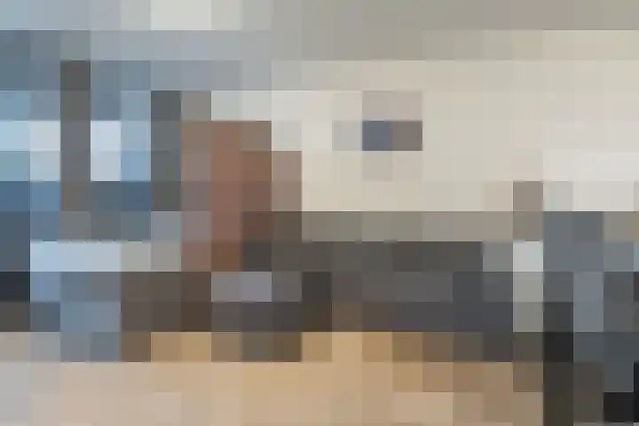 Laan van Vollenhove 300 Zeist thumbnail 4