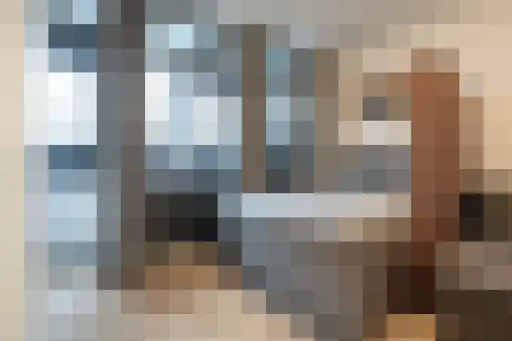 Laan van Vollenhove 300 Zeist thumbnail 5