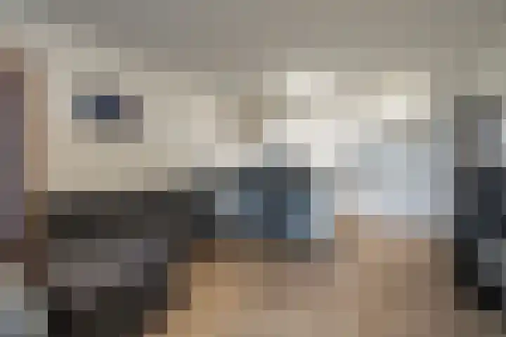 Laan van Vollenhove 300 Zeist thumbnail 7