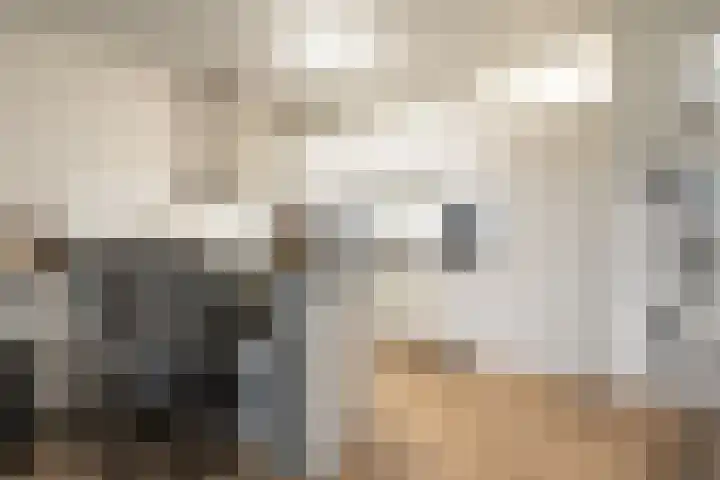Laan van Vollenhove 300 Zeist thumbnail 8