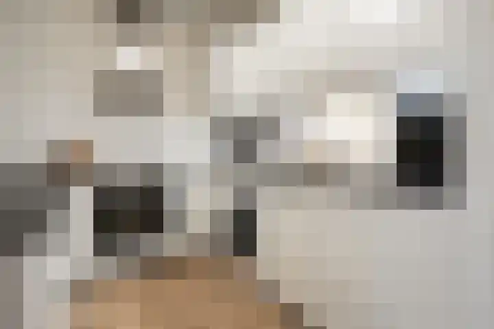 Laan van Vollenhove 300 Zeist thumbnail 9