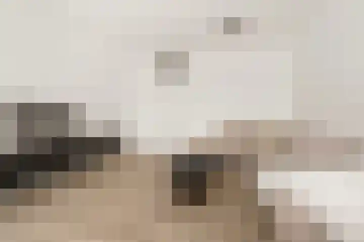 Laan van Vollenhove 324 Zeist thumbnail 14