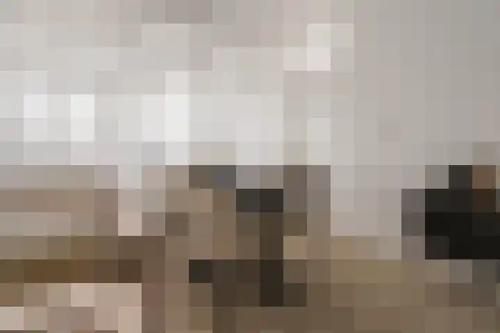 Laan van Vollenhove 324 Zeist thumbnail 17
