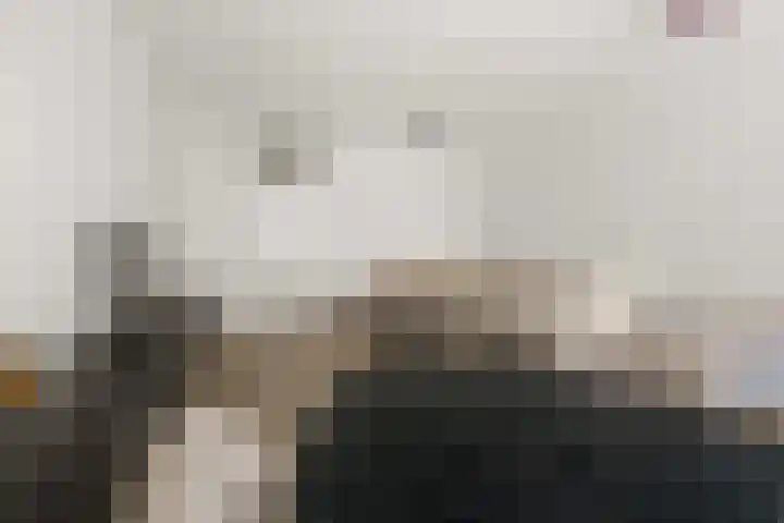 Laan van Vollenhove 324 Zeist thumbnail 18