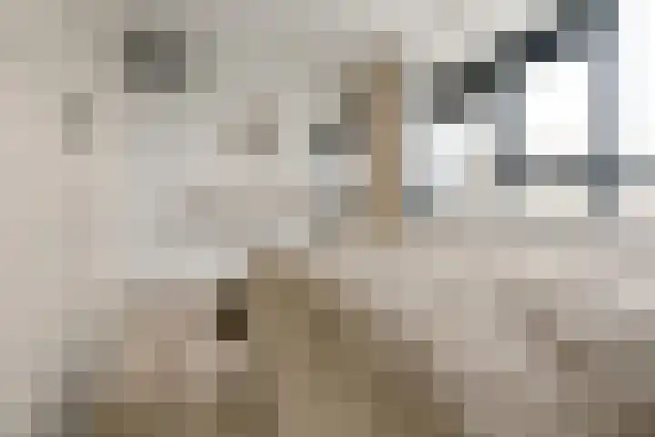 Laan van Vollenhove 324 Zeist thumbnail 19