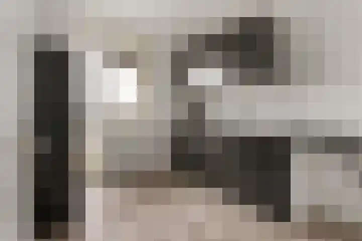 Laan van Vollenhove 324 Zeist thumbnail 22