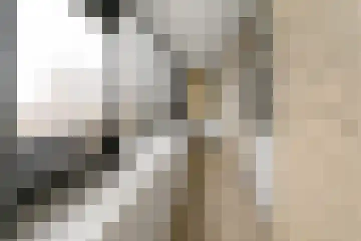 Laan van Vollenhove 324 Zeist thumbnail 24