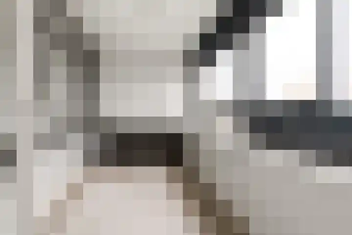 Laan van Vollenhove 324 Zeist thumbnail 5