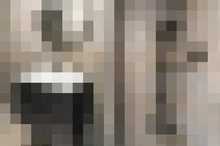 Laan van Vollenhove 324 Zeist thumbnail 8
