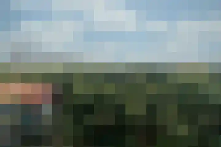 Laan van Vollenhove 348 Zeist thumbnail 17