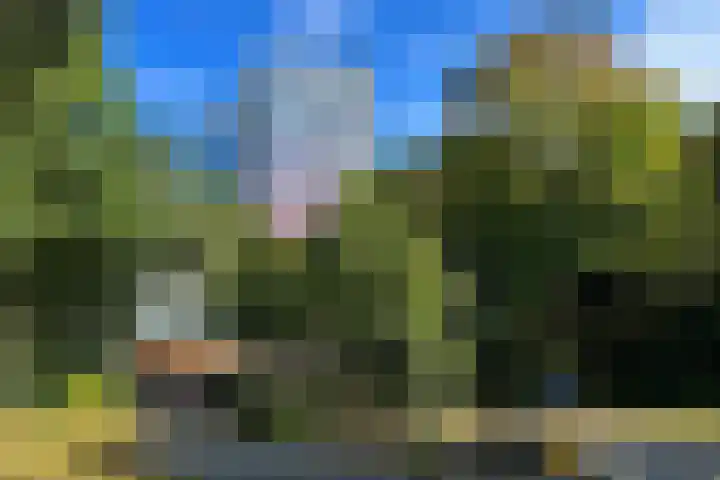 Laan van Vollenhove 348 Zeist thumbnail 4