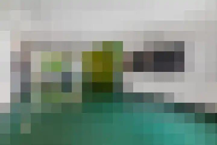 Laan van Vollenhove 348 Zeist thumbnail 8