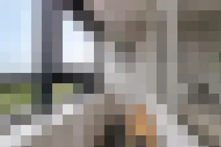 Laan van Vollenhove 352 Zeist thumbnail 28