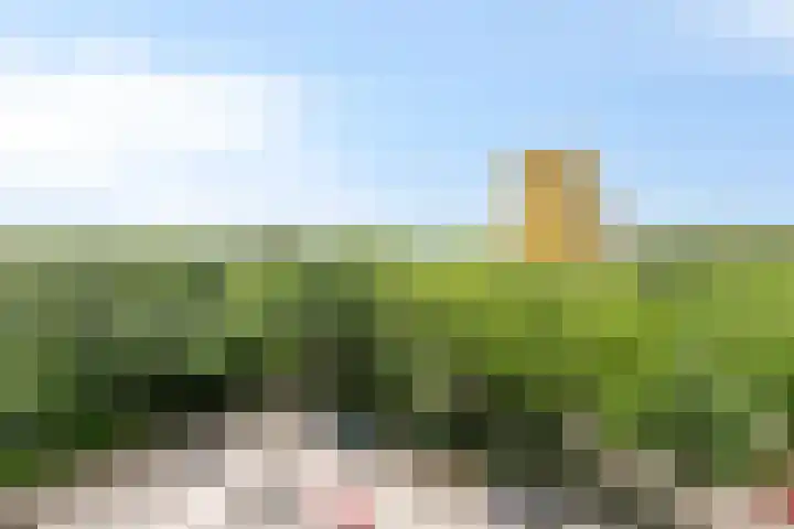 Laan van Vollenhove 352 Zeist thumbnail 29