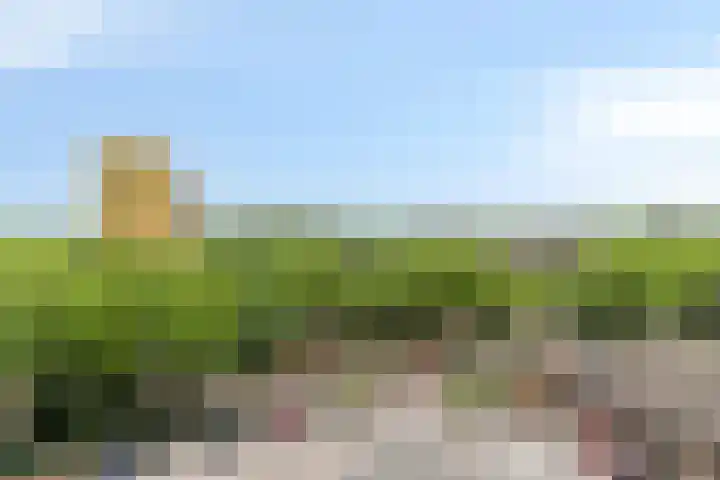 Laan van Vollenhove 352 Zeist thumbnail 30