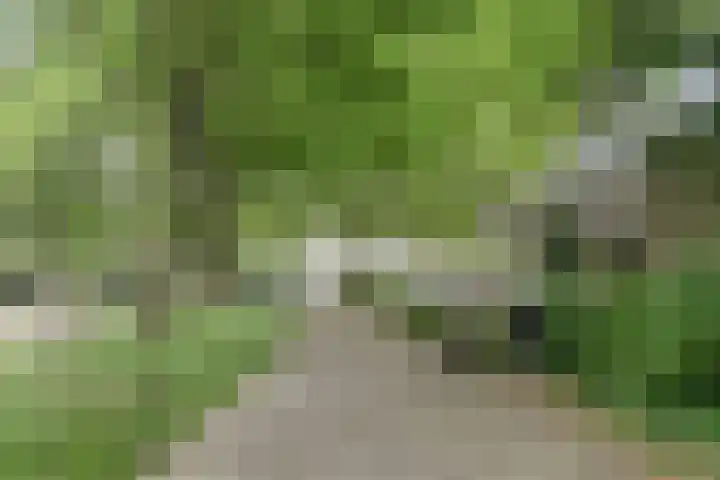 Laan van Vollenhove 352 Zeist thumbnail 32